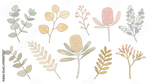Set Element Botanical Floral Species Collection of 10 Plant Illustrations in Two Rows with Diverse Leaf and Flower Variations _0844225538.eps