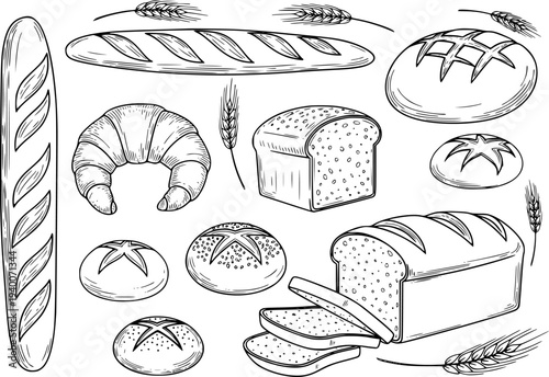 Hand Drawn Bakery Assortment Featuring Baguettes Croissants Loaves and Wheat Ears