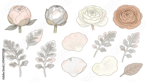 Set of 12 Botanical Watercolor Illustrations Featuring Diverse Floral Species and Leaf Varieties in Soft Tones