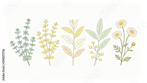 Serene botanical arrangement with diverse floral stems, vibrant yellow-white blossoms, textured green leaves, and clusters on clean white background