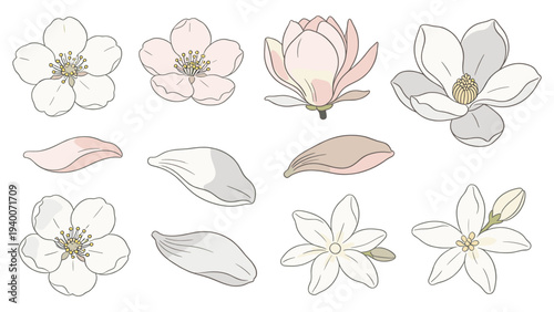 Foto White, Pink, Brown Petals & Flowers in Three Rows