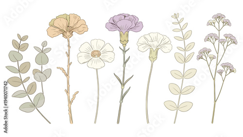 Serene Elegant Set Element Botanical Flora Species Illustration - 7 Distinct Plants & Flowers in White Background Design