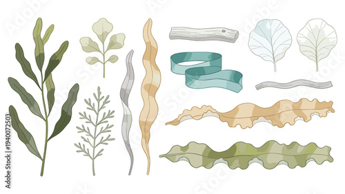 Stems, Leaves, Branches with Floral Design Elements for Creative Projects