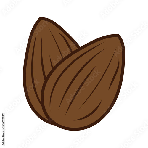 Two delicious brown almond nuts vector illustration isolated for healthy eating and snack concepts