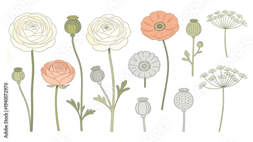 White, Pink, Green Gradients with Varied Stem Lengths on a Clean Canvas