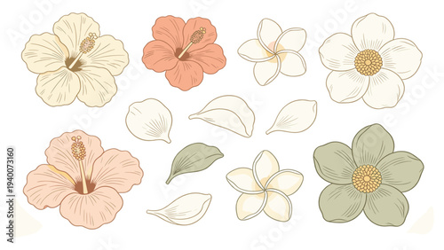 Two rows eight diverse botanical flowers arranged five-petal yellow-centered white orange pink green collection