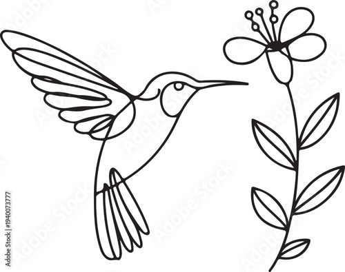 Cute handdrawn hummingbird feeding from a flower in elegant line art