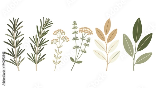 Set Element Horizontal Row of Six Botanical Floral Species in Digital Illustration with Varied Green and Accented Shades