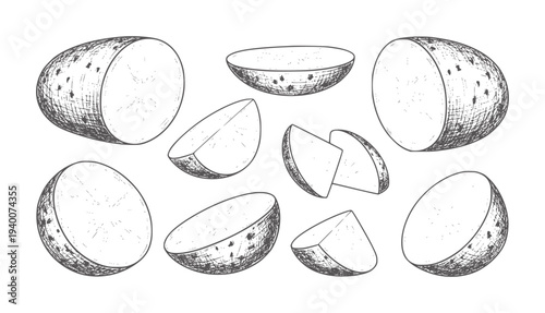 Hand drawn collection of potato halves and wedges in style food vegetable