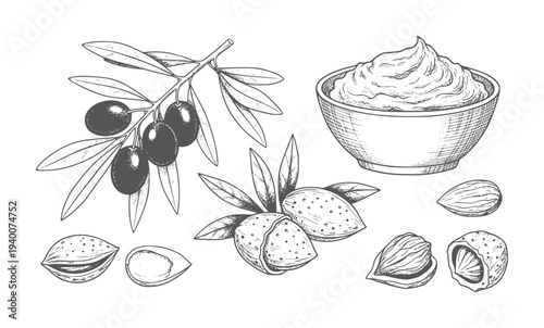 Hand drawn olives almonds and bowl of paste white branch leaf leaves