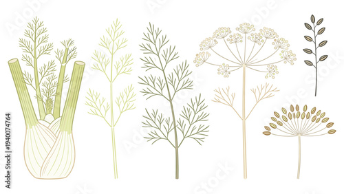 6 Unique Plant Species with Stems, Leaves, Flowers, Textured Styles, and Varied Color Palettes in Digital Art