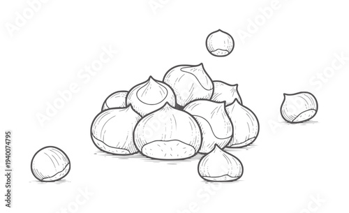 Hand drawn pile of chestnuts with scattered nuts white food