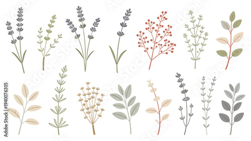 Crisp Minimalist Botanical Ensemble 12 Unique Plants Earthy Tones Design Elements