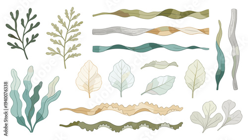 Set of 12 Botanical Floral Species with Diverse Leaf and Bloom Variations in Muted Tones Elegantly Arranged in Three Rows