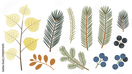 Vibrant Stylized Botanical Leaf and Branch Illustration Set Composed of Ferndiversity Berries Leaf Arrangements for Graphic Design Applications