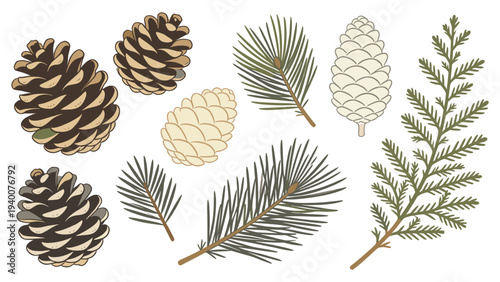 Circular Arrangement of Botanical Pinecones and Pine Needles in Diverse Sizes, Textures, and Shades