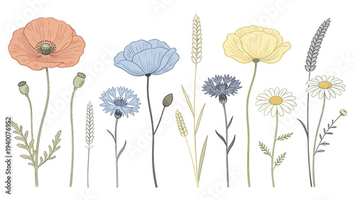 Collection of various botanical floral species illustrated in a detailed vector artwork featuring flowers and plants