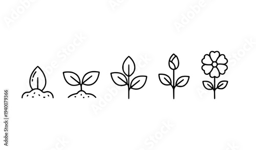 Plant Growth Stages Thin Line Icon Set from Seed Sprout to Blooming Flower Editable Vector Illustration
