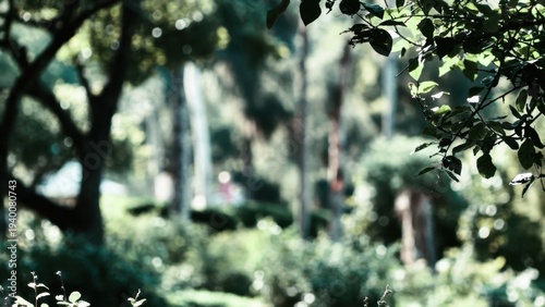 Lush greenery bathes the scene in soft, dappled light