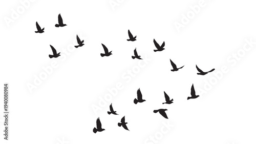 Silhouettes of a flock of birds flying in formation against a white background, conveying a sense of freedom and migration.