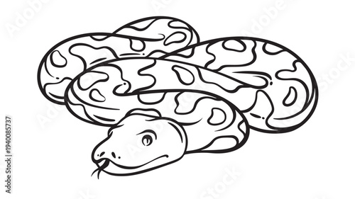 Snake coiled with bold black outlines and abstract pattern on its body against a white background. featuring serpent, reptile, outline with line art