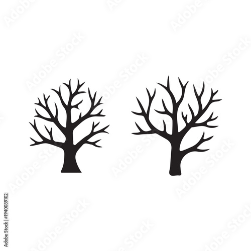 Bare Trees Silhouette with Branching Structures Isolated on White Background