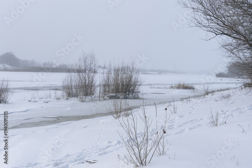 Wallpaper Mural Frozen shoreline shows thin ice and open water channels with sparse reed clumps and snowy banks. Pale sky and muted tones emphasize loneliness calm and quiet winter atmosphere Torontodigital.ca