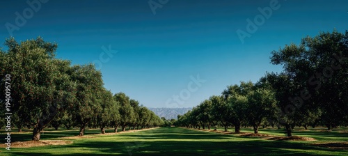 Lush Green Golf Course Fairway Lined with Trees Under a Clear Blue Sky.