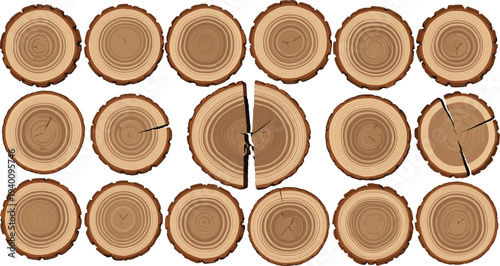 Tree log cross section rings collection with wood slice textures natural timber vector illustration set