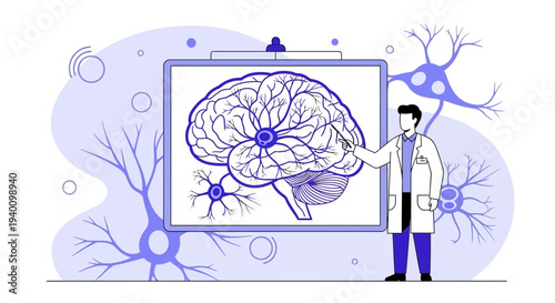 Doctor Explains Brain Anatomy and Neurons on Whiteboard, Medical Science Illustration