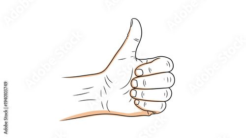Detailed line drawing of a human hand making a positive thumbs up sign to indicate approval, success, or agreement in a clean style.