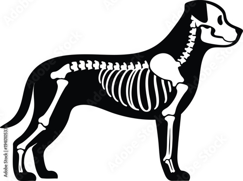Dog skeleton structure silhouette vector illustration xray style graphic isolated on a white background