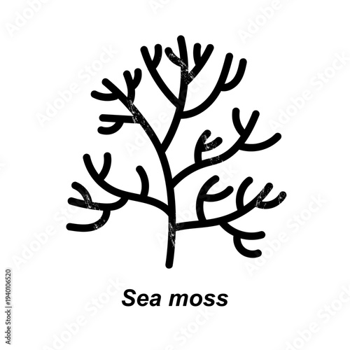 Sea moss vector icon. Seaweed branch. Organic marine superfood. Design for packaging, label, wrapping, logo, template. Healthy food. Vector textured illustration on isolated background.