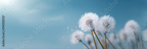Serene dandelion field against a clear blue sky