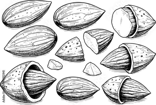 Detailed Hand Drawn Almonds and Broken Pieces White Background nuts food