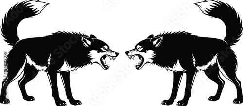 Black and white vector illustration of two aggressive snarling wolves facing each other for wild animal conflict and nature rivalry,