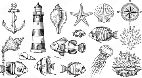Marine Nautical Elements Set Anchor Lighthouse Fish Shell Starfish Compass Coral Vector Illustration