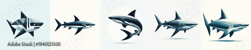 Vector of a Shark