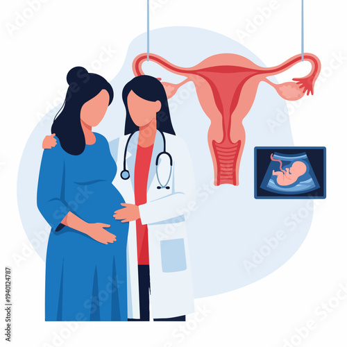 Doctor with Pregnant Woman Discussing Ultrasound and Uterus Anatomy.
