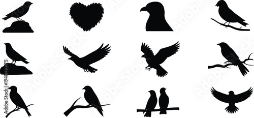 Bird silhouette set, raven crow and flying birds, perched on branches, black vector collection, wildlife icons for nature, Halloween and tattoo