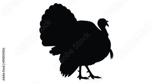 A striking silhouette of a wild turkey in profile view
