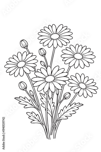Simple cute vector of a few blooming aster flowers with soft petals and leaves, designed with clean lines for easy coloring and creative kids artwork.