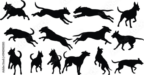 Set of black dog silhouettes in various action poses including running jumping and standing for pet and animal design projects