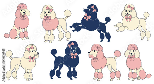 Cute Poodle Dog Breeds Collection, Pink and Blue, Cartoon Style