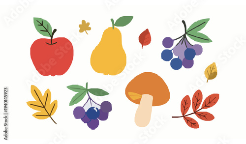 Colorful hand drawn autumn harvest fruits and mushroom vector illustration for fall season