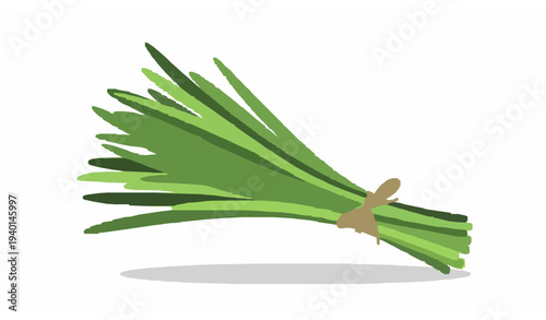 Colorful Fresh Green Chives Bundle Tied with String Flat Vector Illustration