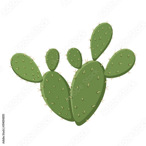 Green Prickly Pear Cactus Plant Illustration.