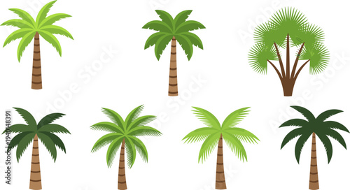 Palm tree icons set, tropical beach nature plants collection, flat vector illustration isolated design graphic element bundle