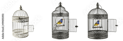фотографія Set of Small Colorful Songbirds in Vintage Ornate Metal Cages with Open Door Iso
