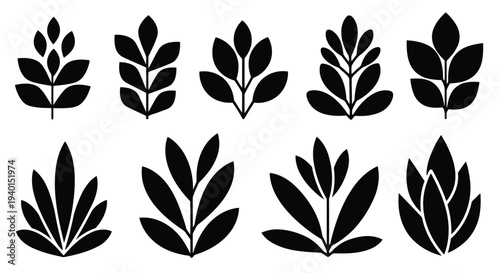 A collection of various leaf designs arranged in a symmetrical pattern.